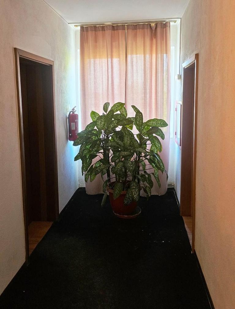 Casablanca Hostel ไกรโอวา ภายนอก รูปภาพ
